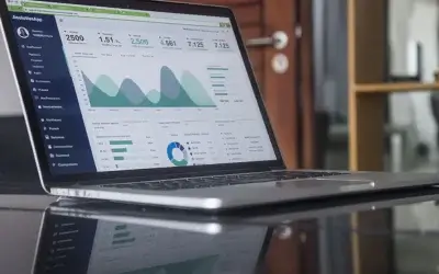 SEO Campaign